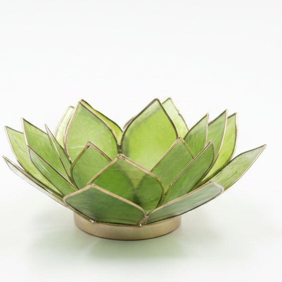 Green | Lotus Capiz Shell Candle Holder