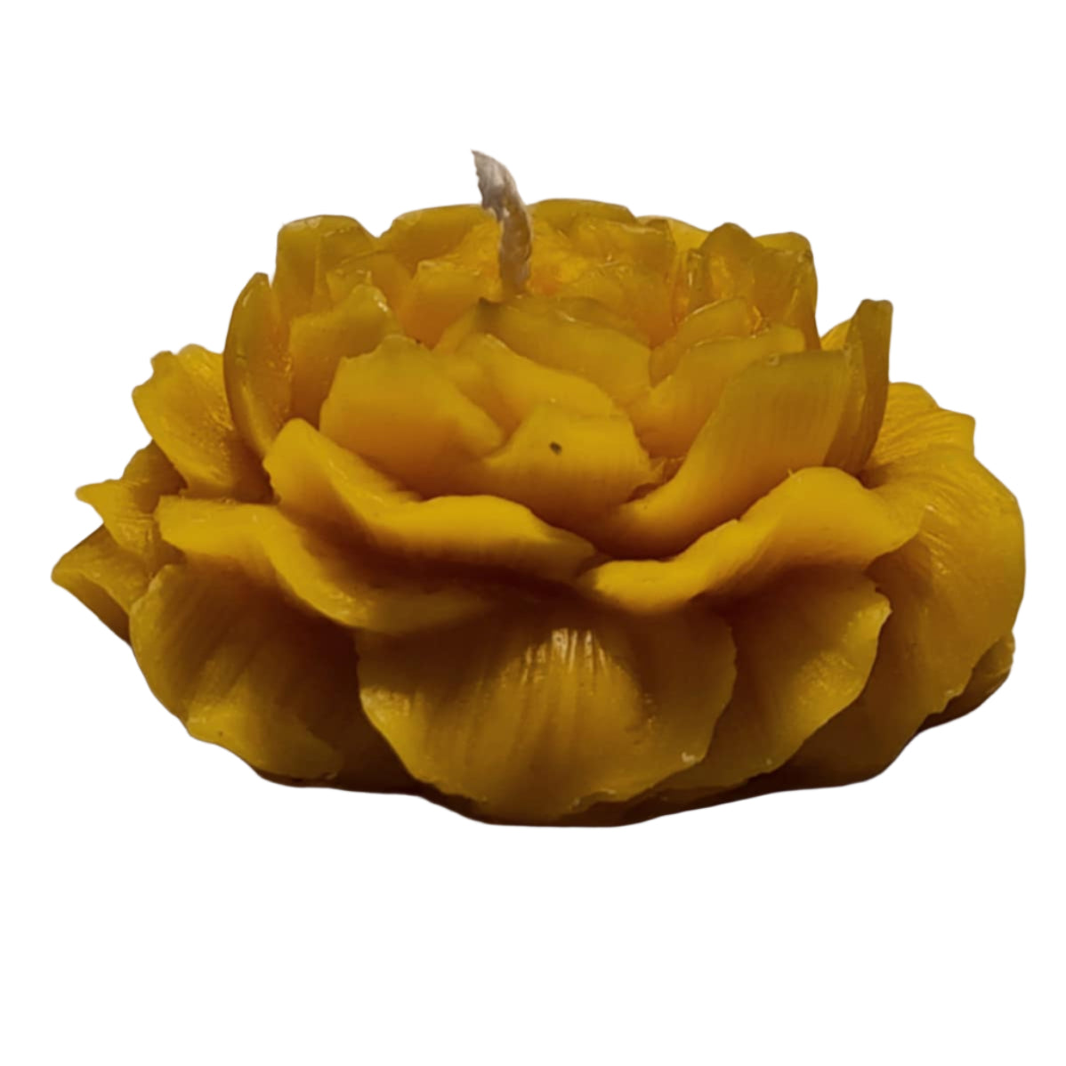 Rose Beeswax Candle