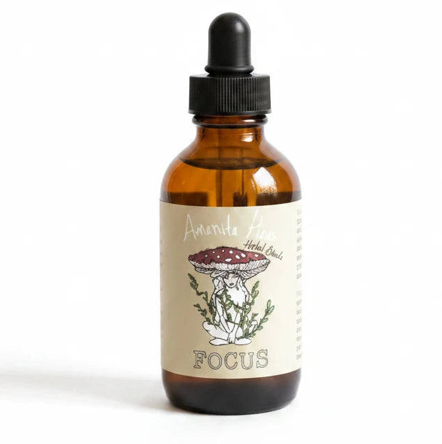 Herbal-Mushroom Oxymel Blends