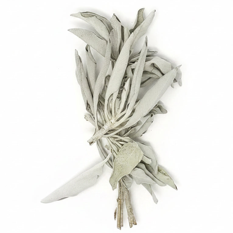 Sage (White) - alter8.com