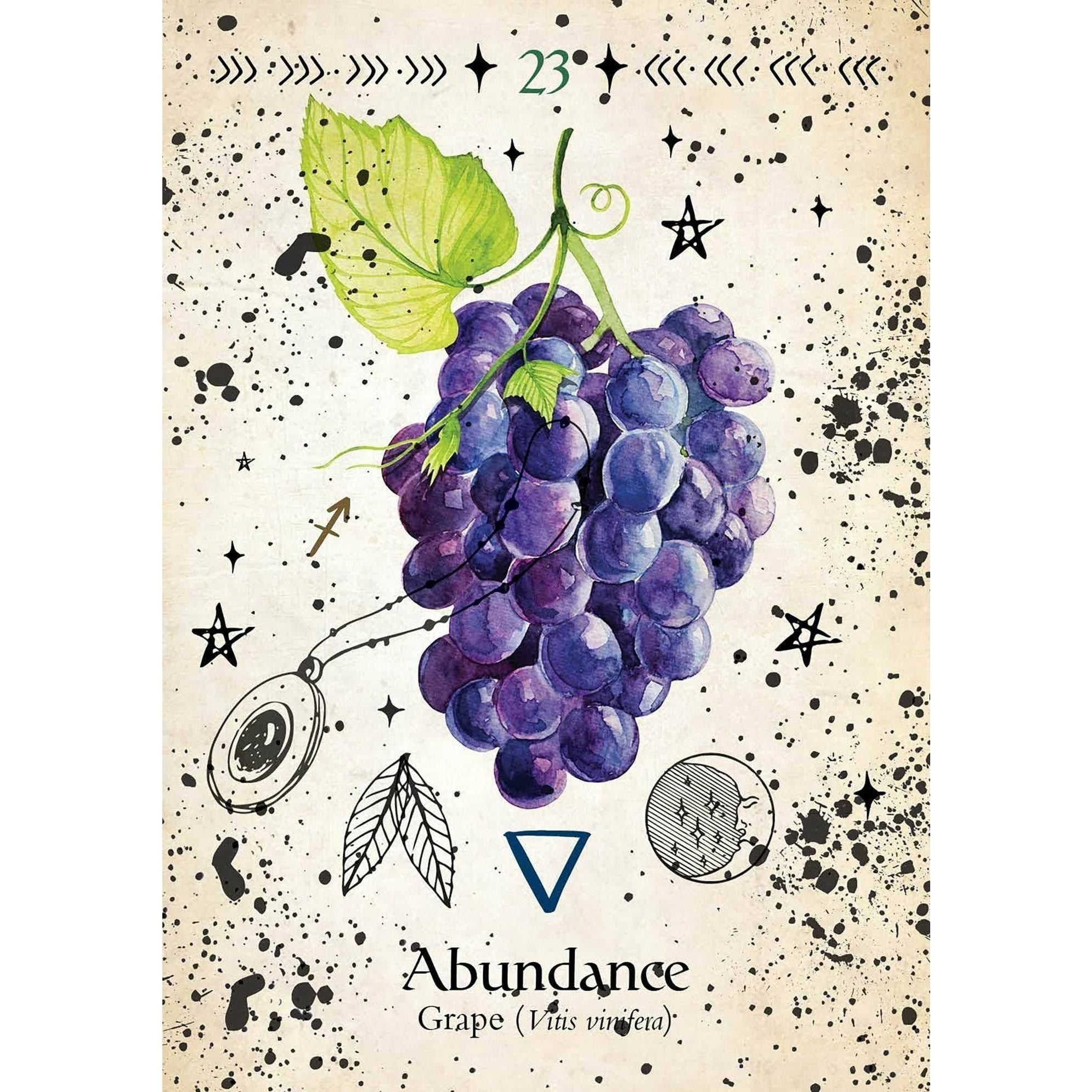 Green Witch Oracle Cards - alter8.com