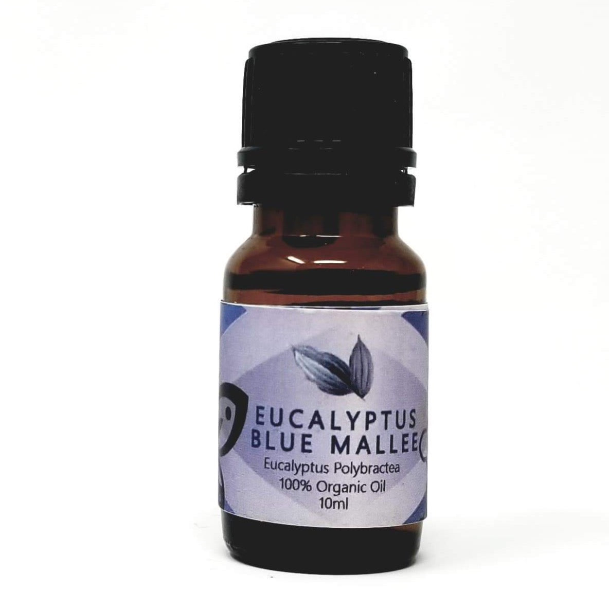 Eucalyptus Blue Mallee Essential Oil - alter8.com