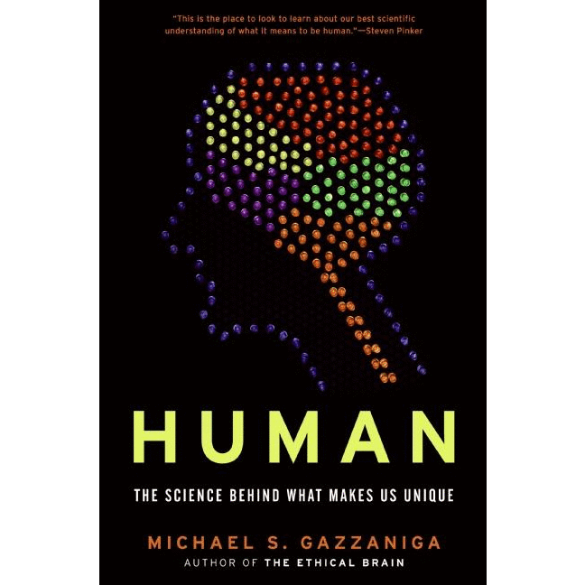 Human: The Science Behind What Makes Us Unique - alter8.com