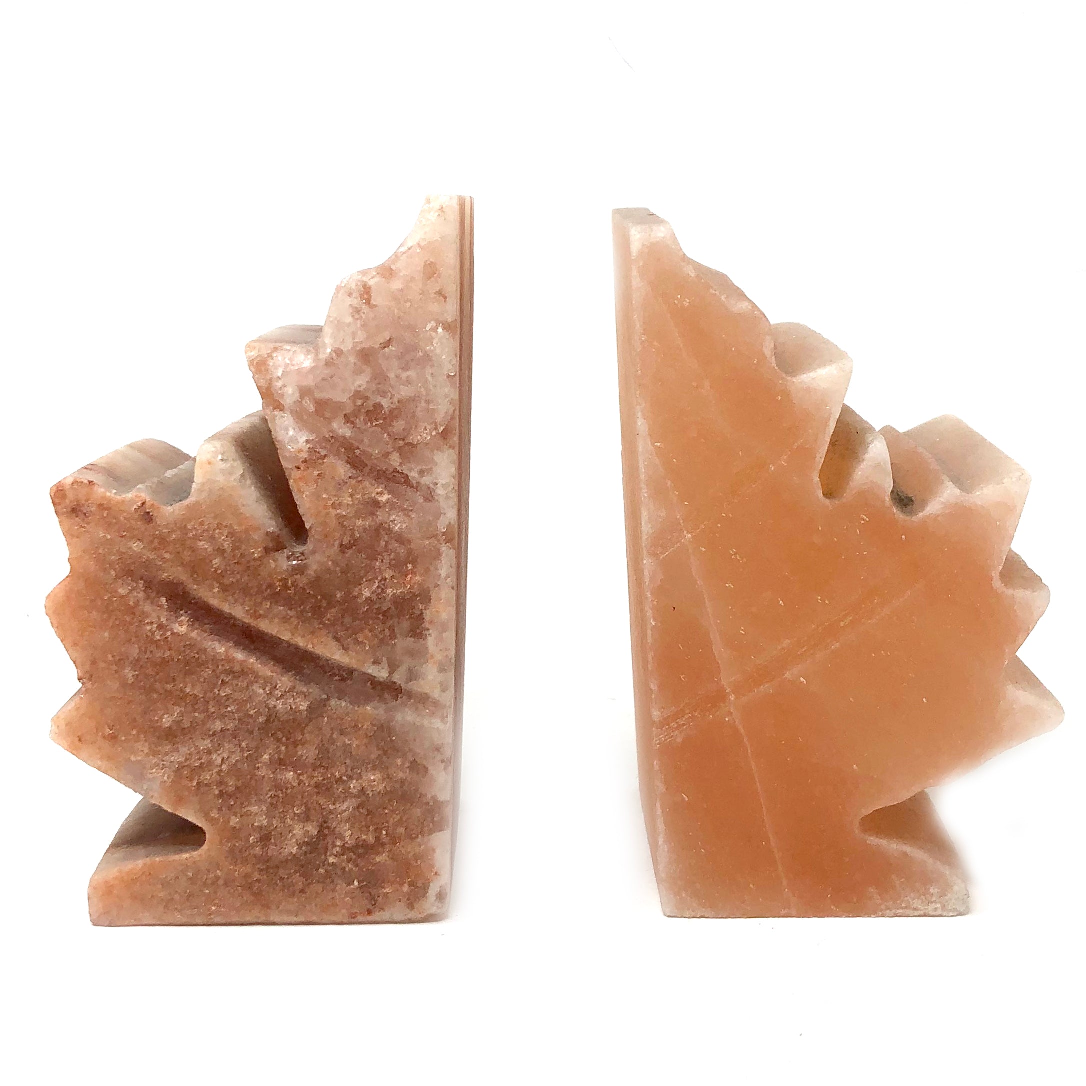Maple Leaf Salt Book Ends - alter8.com