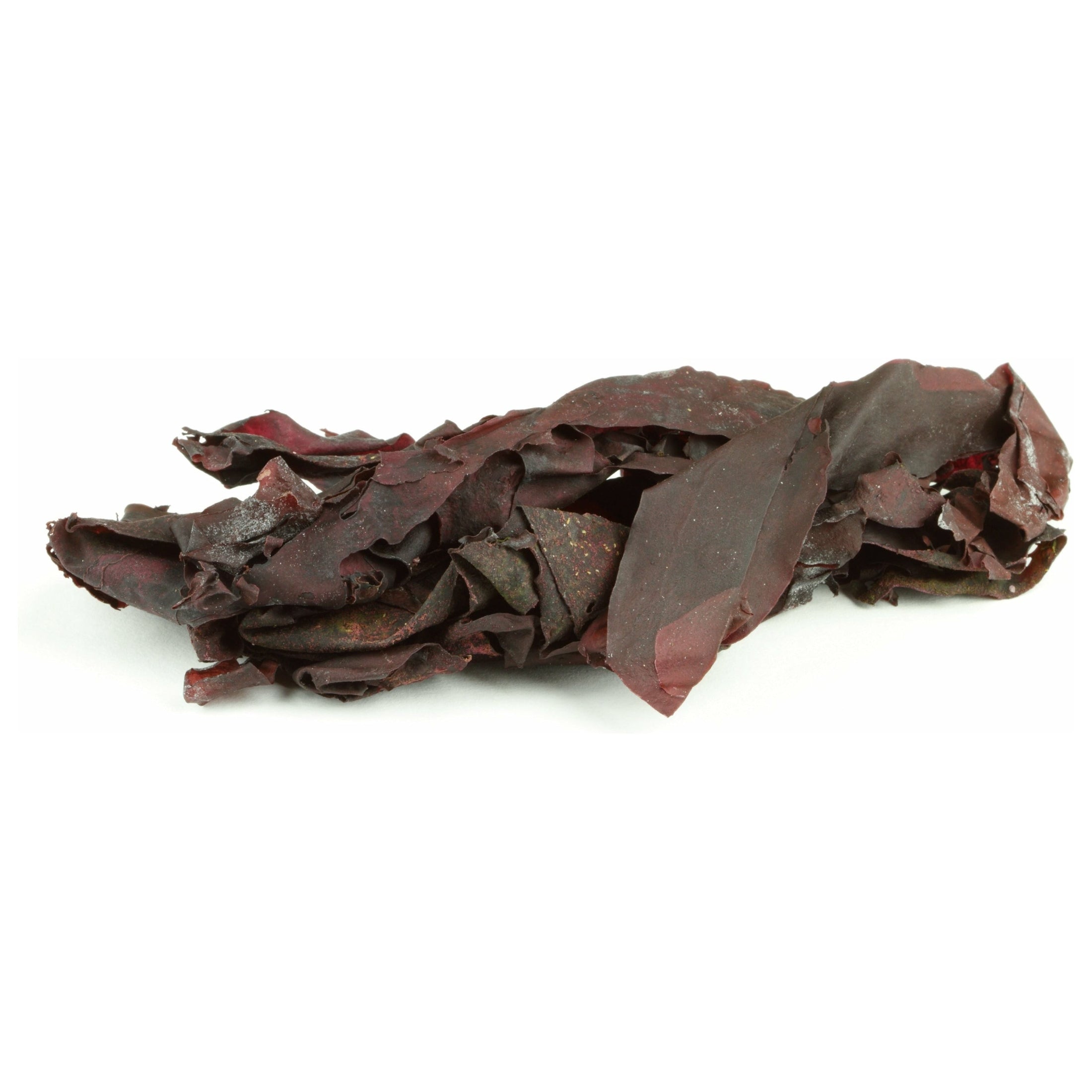 Wild Dulse, East Coast - alter8.com
