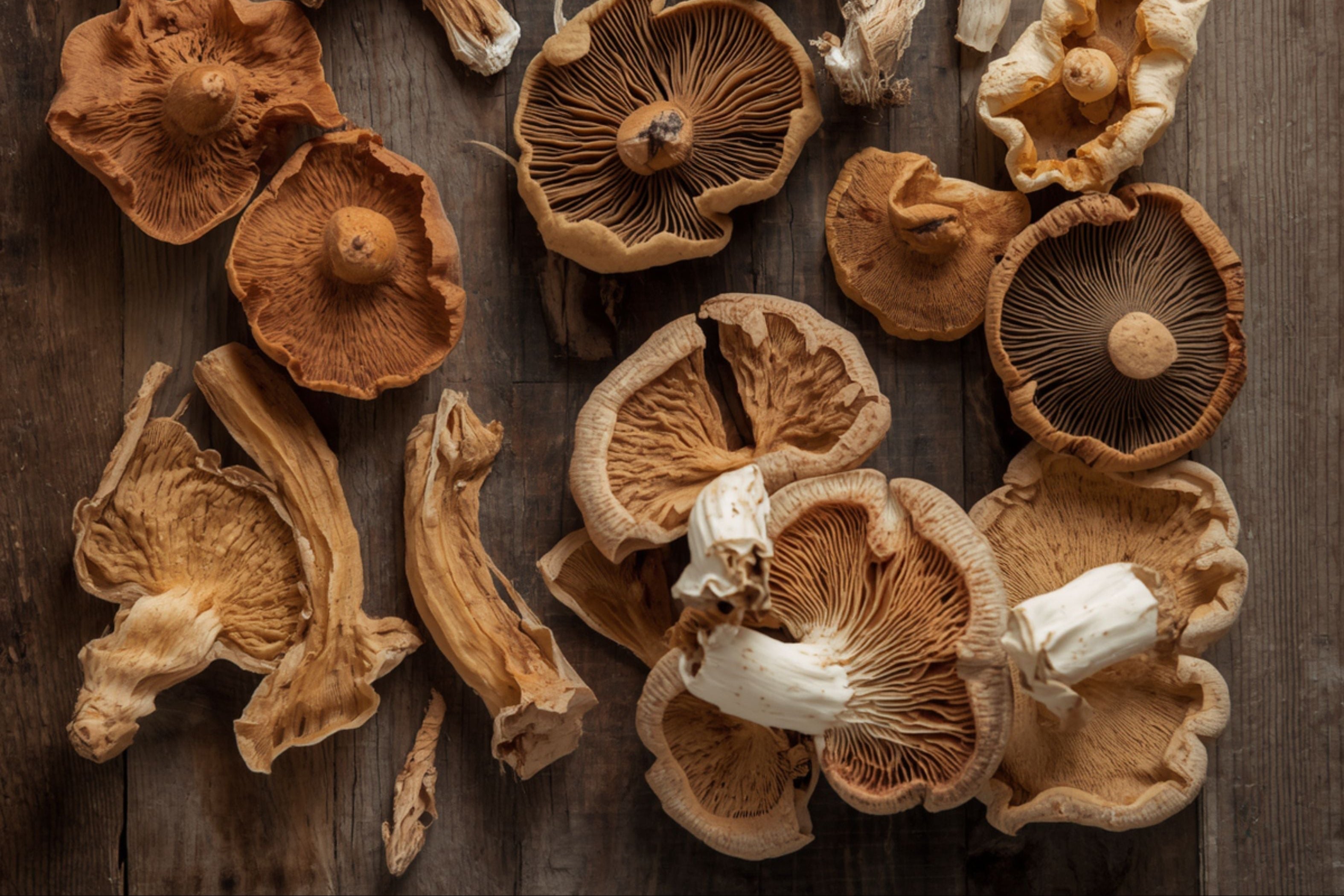 Mushrooms