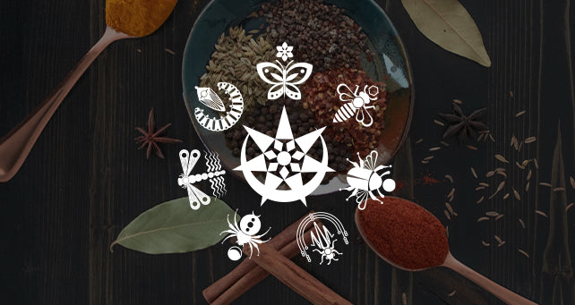 Fall Picks