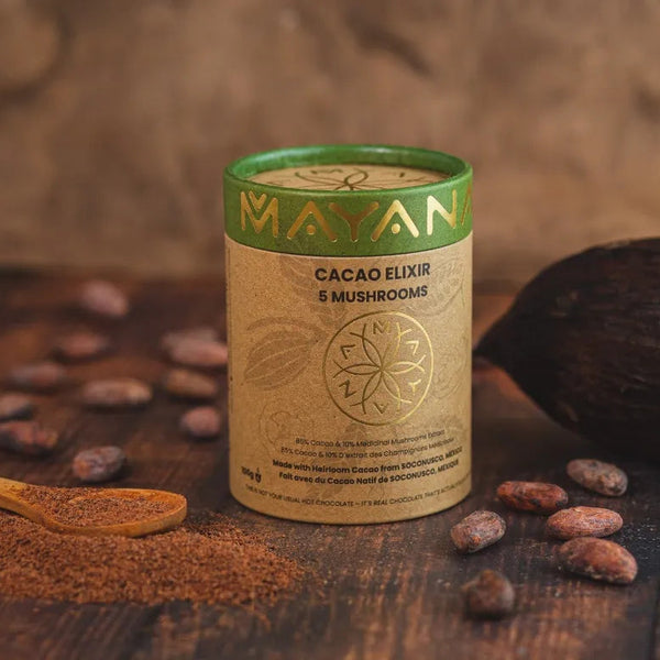 5 Mushrooms ~ Cacao Elixirs