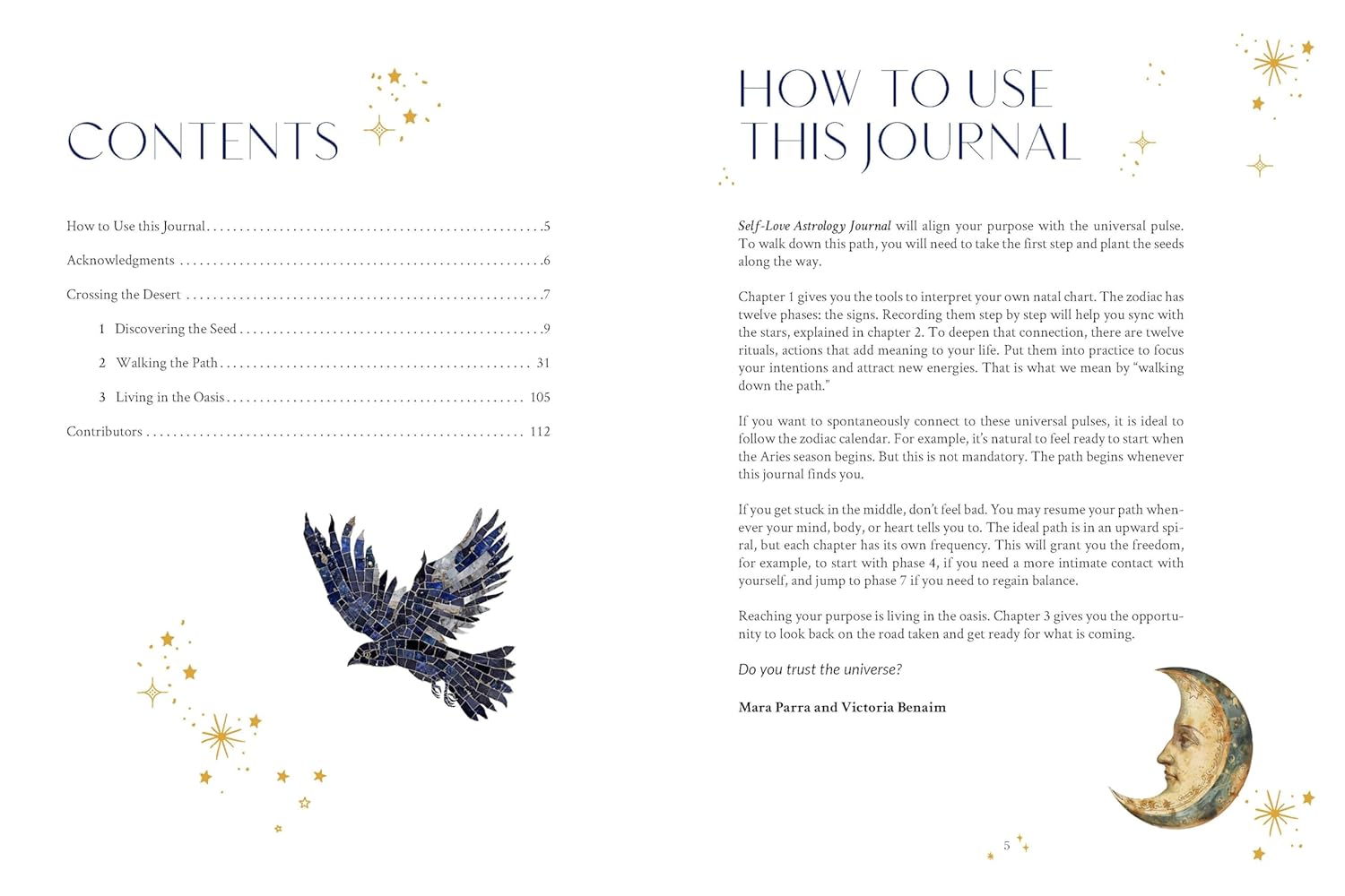 Self-Love Astrology Journal