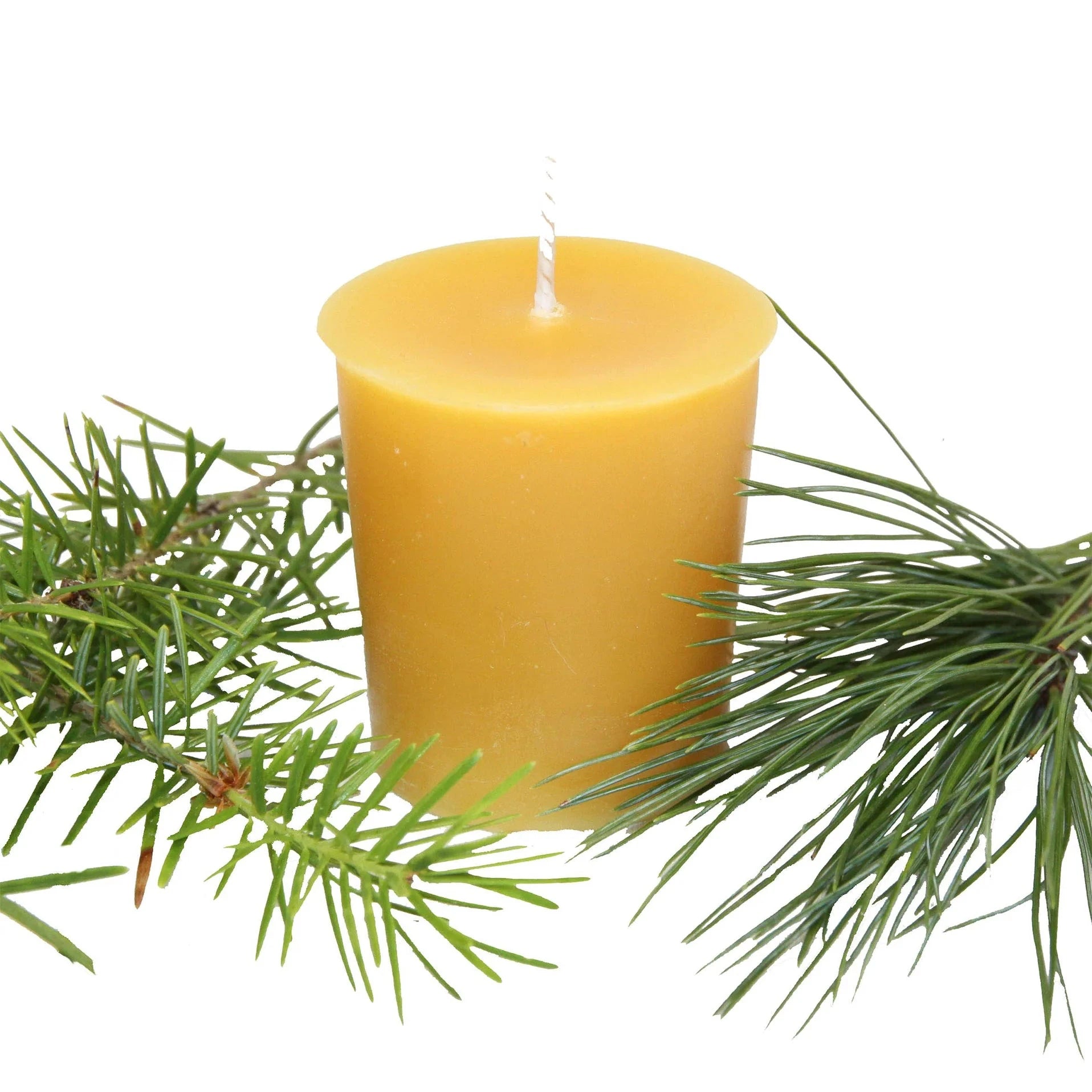 Kootenay Forest Beeswax Votive