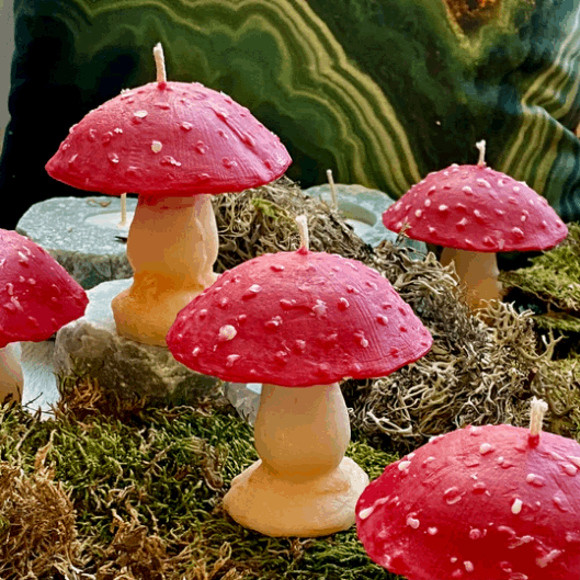 Mushroom Candle by Madame Phoenix - alter8.com