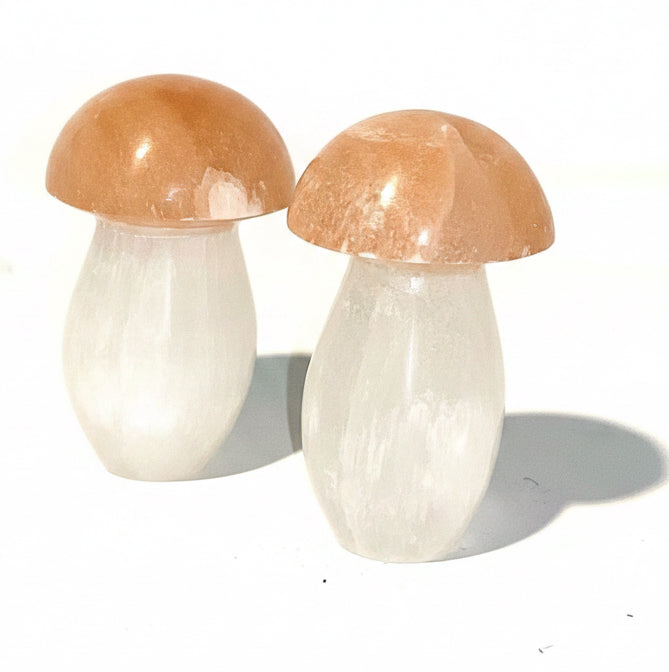 Selenite Mushroom