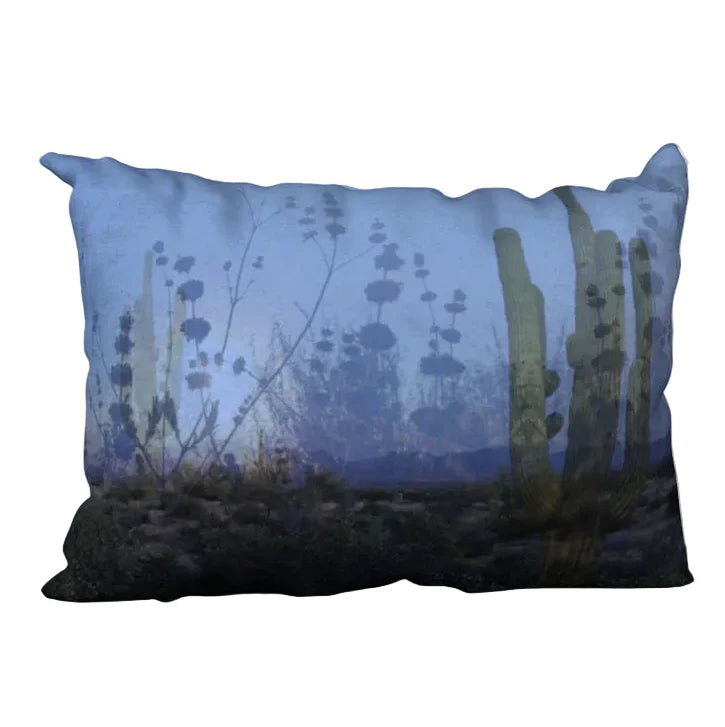 Cacti | Velveteen Pillow Case - By Carolyn Quan