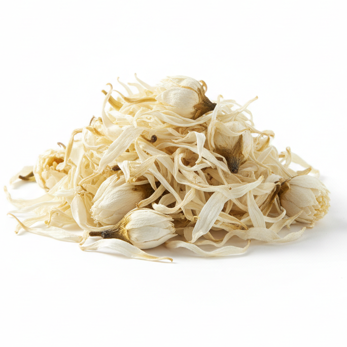 White Water Lily, Dried