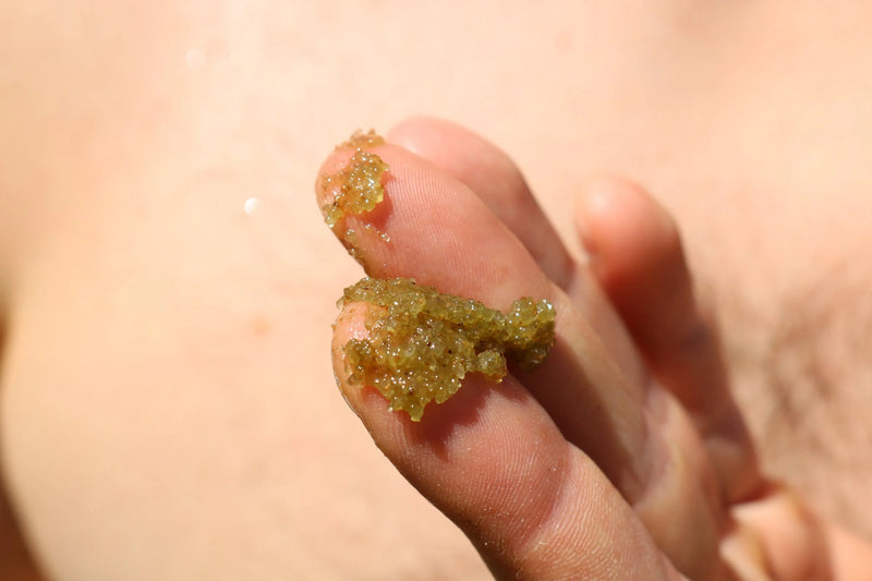 Matcha Mint Sugar Salt Scrub