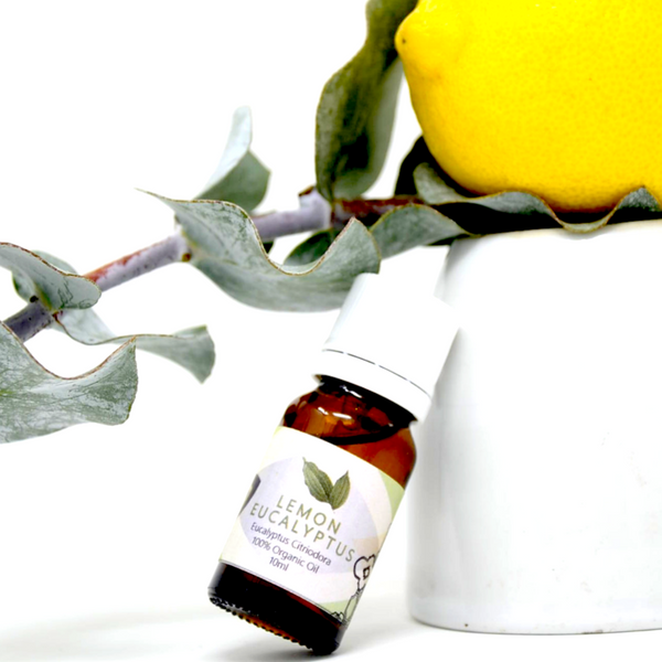 Eucalyptus Lemon Essential Oil - alter8.com