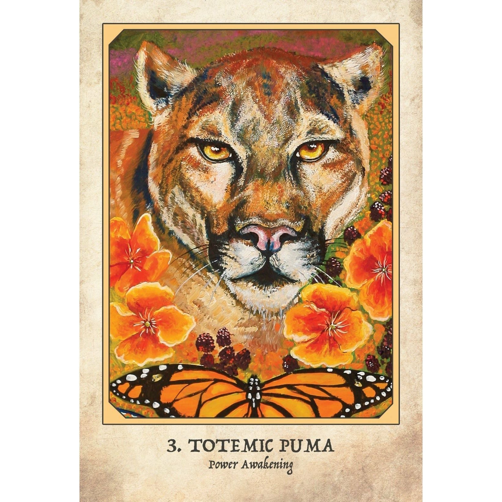 Earth Warriors Oracle: Rise of the Soul Tribe of Sacred Guardians and Inspired Visionaries - alter8.com