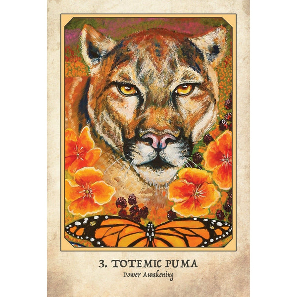 Earth Warriors Oracle: Rise of the Soul Tribe of Sacred Guardians and Inspired Visionaries - alter8.com