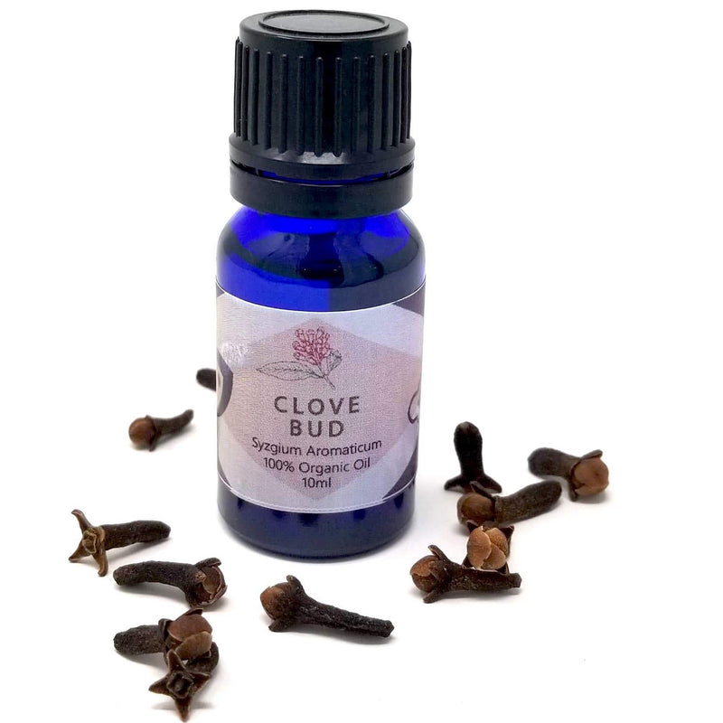 Clove Bud Essential Oil - alter8.com