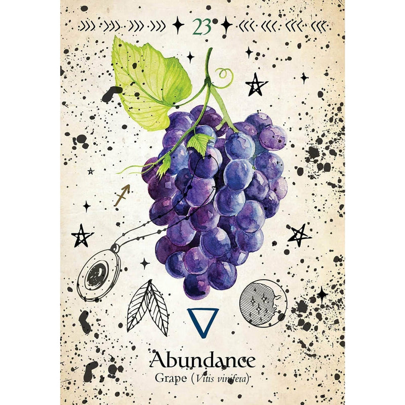 Green Witch Oracle Cards - alter8.com
