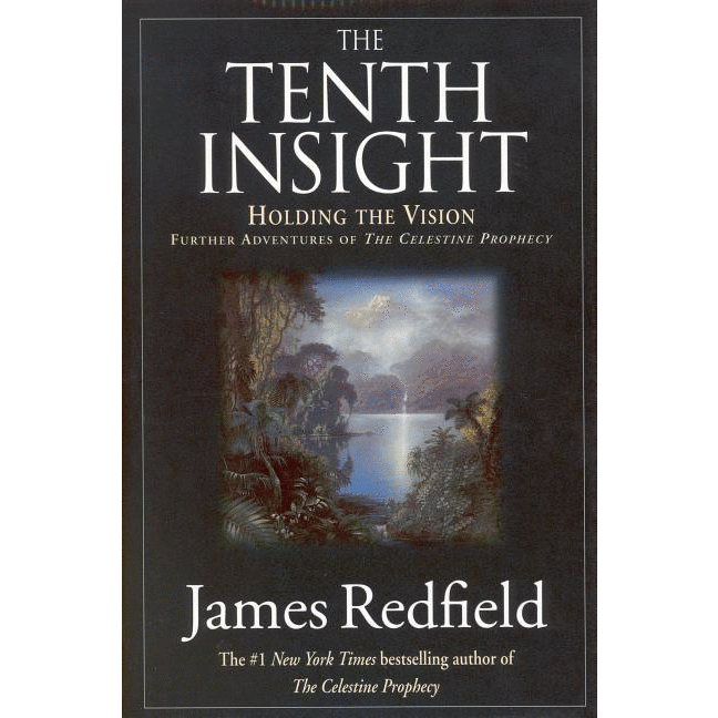 Tenth Insight: Holding the Vision - alter8.com
