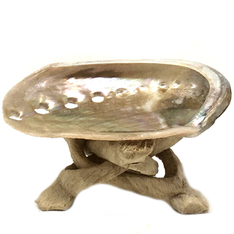 Small Red Abalone Shell - alter8.com