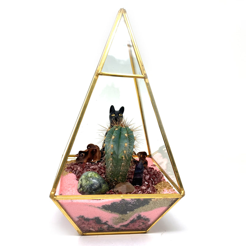 Terrariums by Globe and Snail: The Bastet - alter8.com
