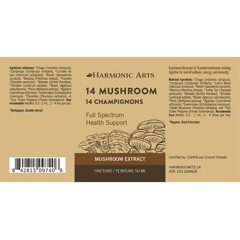 5 Mushroom Concentrated Mushroom Powder - alter8.com
