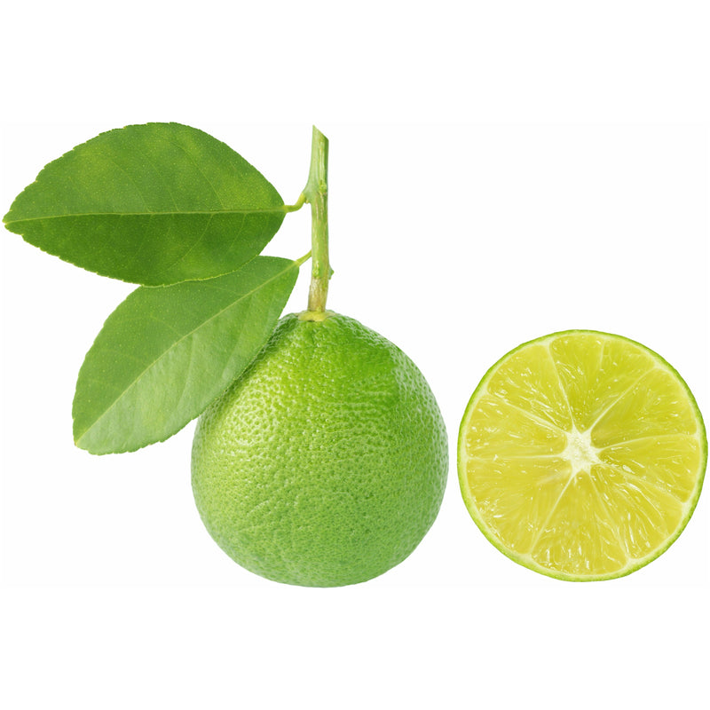 Key Lime Essential Oil - alter8.com