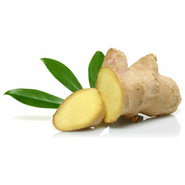 Ginger Root Essential Oil - alter8.com