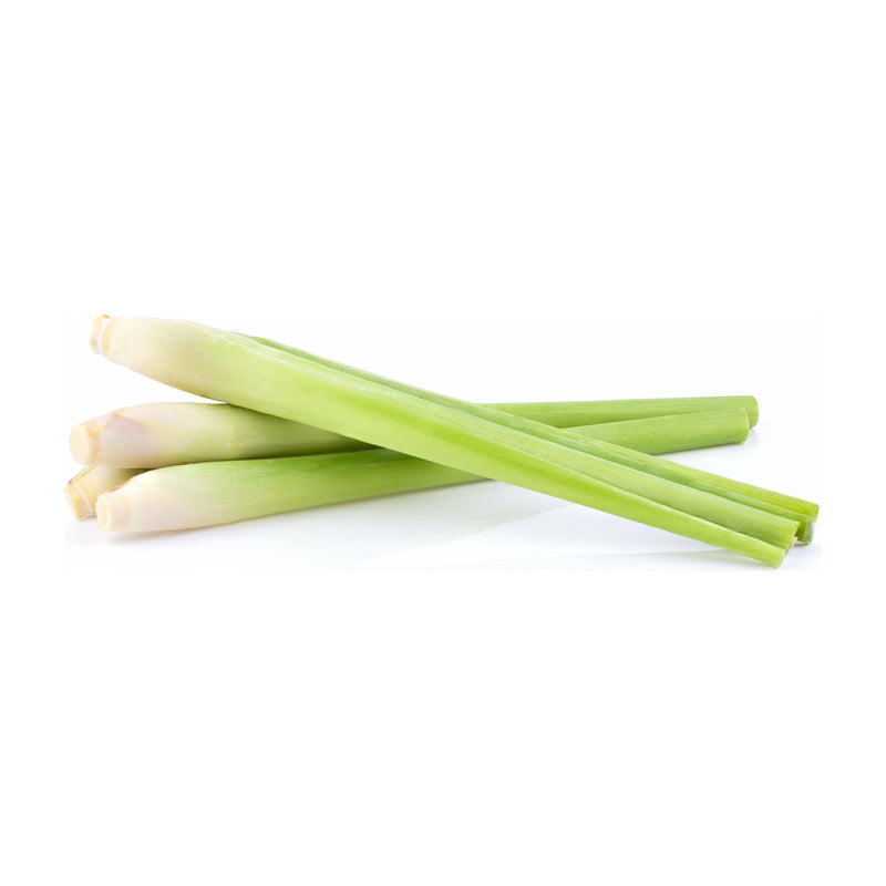 Lemongrass Essential Oil - alter8.com