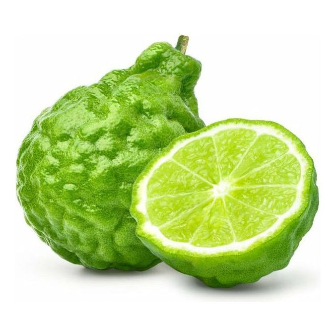 Citrus Bergamot Essential Oil - alter8.com