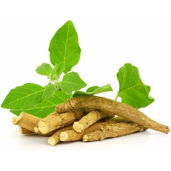 Ashwagandha Root Pieces - alter8.com