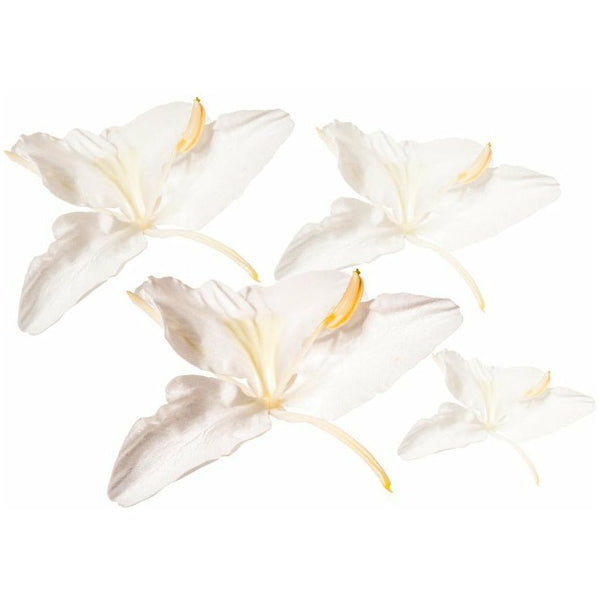 Ginger Lily Essential Oil - alter8.com