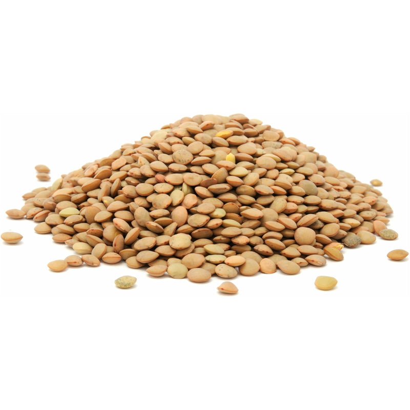 Brown Lentils (Whole Dried) - alter8.com