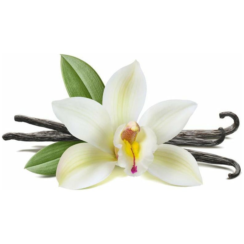 Vanilla Essential Oil - alter8.com